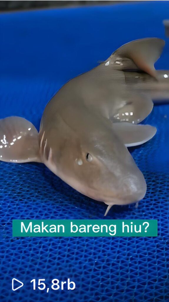 WhatsApp Image 2023-06-06 at 14.35.55 (1)