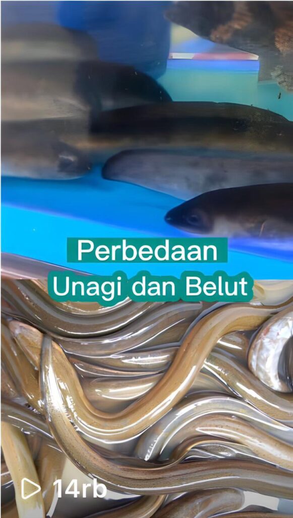 WhatsApp Image 2023-06-06 at 14.35.55