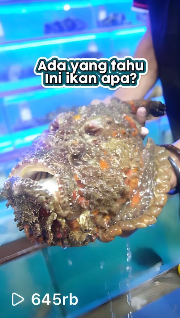 WhatsApp Image 2023-06-06 at 14.35.56